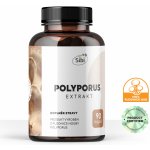 POLYPORUS EXTRAKT 90 KAPSLÍ 500 mg – Hledejceny.cz