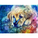 Norimpex Diamantové malování Pes s motýlem 30 x 40 cm – Sleviste.cz