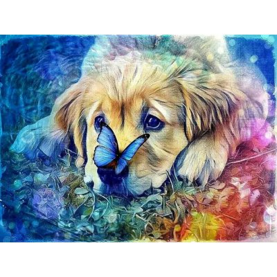Norimpex Diamantové malování Pes s motýlem 30 x 40 cm – Sleviste.cz
