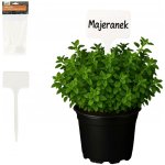 Bestent Jmenovky na rostliny 14,5 cm 30ks – Hledejceny.cz