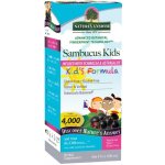 Natures Sirup z černého bezu pro děti s echinaceou a kozincem 120 ml – Hledejceny.cz