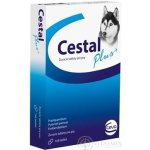 Cestal Plus 50 / 144 / 200 mg 1 x 8 tbl – Zboží Mobilmania