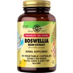 Solgar SFP Boswellia Resin Extract 60 veg. kapslí – Hledejceny.cz