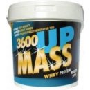 MUSKULVIT MASS UP 3600 2500 g