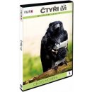 čtyři lvi DVD