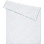 Wendre celoroční přikrývka s Aloe Vera 200x220 – Zboží Dáma Wendre celoroční přikrývka s Aloe Vera 200x220 – Zboží Dáma