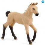 Schleich 13929 hříbě hannoverské – Zbozi.Blesk.cz