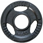 FitnessLine Kotouč olympijský litinový 50 mm - 1,25 kg – Zboží Mobilmania