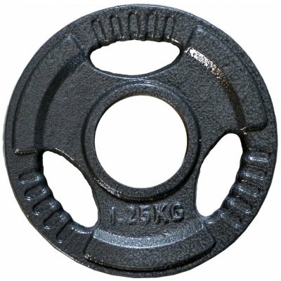 FitnessLine Kotouč olympijský litinový 50 mm - 1,25 kg – Zboží Mobilmania