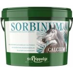St.Hippolyt Sorbinum Calcium 10 kg – Hledejceny.cz