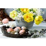 Goba Prostírání plastové velikonoční květy 28x43cm – Hledejceny.cz