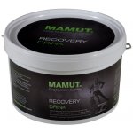 Mamut Recovery Drink 800 g – Hledejceny.cz