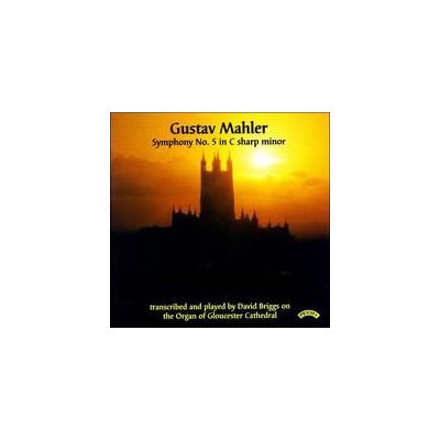 Mahler Gustav - Symphony No.5 Transcribed CD – Zboží Mobilmania