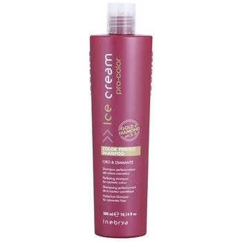 Inebrya Pro-Color Color Perfect Shampoo 300 ml