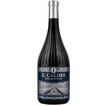 Il Calore Primitivo Puglia IGP 13% 0,75 l (holá láhev) – Hledejceny.cz