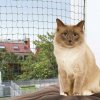 Ochranná síť a mříž pro kočky Trixie Síť ochranná do okna olivová 4 x 3 m