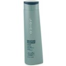 Joico Moisture Recovery Shampoo 300 ml