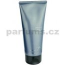 Shiseido Zen pánský sprchový gel 200 ml