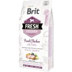 Brit Fresh Chicken & Potato Puppy Healthy Growth 12 kg – Zboží Mobilmania