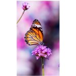 NEC UN552VS – Zboží Živě