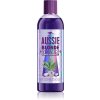 Šampon Aussie Blonde Zvlhčující šampon Purple 290 ml