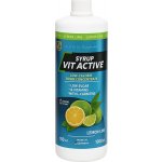 Z Konzept Vit Active Syrup Low Carb 1000 ml – Hledejceny.cz