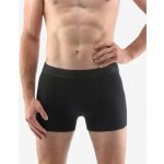 Bambusové šité boxerky s kratší nohavičkou a gumou ecobamboo černé 73126P – Zboží Mobilmania