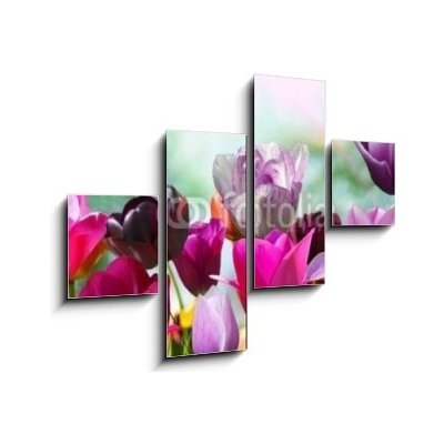 Obraz čtyřdílný 4D - 120 x 90 cm - Beautiful spring flowers, tulips Krásné jarní květiny, tulipány
