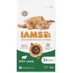Iams Cat Adult Lamb 2 kg – Hledejceny.cz