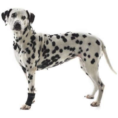 Kruuse Bandáž na zápěstí pro psa Rehab XL – Zboží Mobilmania