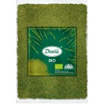 Diana Company Mladý Zelený Ječmen prášek Bio 500 g – Hledejceny.cz