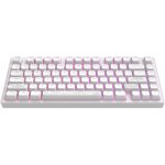 Dark Project ALU Terra Nostra White DPKB_NOSTRA_81_ANSI_WHITE – Sleviste.cz