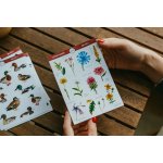 ePiPí samolepky luční květy – Sleviste.cz