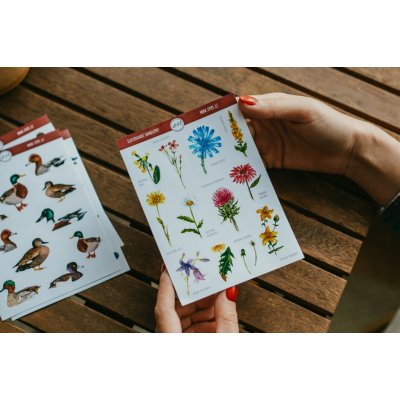 ePiPí samolepky luční květy – Sleviste.cz