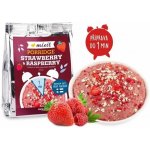 Mixit Minutová ovesná kaše do kapsy Jahoda a malina 60g – Hledejceny.cz