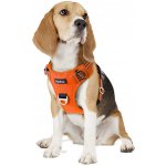 Funfox postroj pro psy No Pull – Zbozi.Blesk.cz