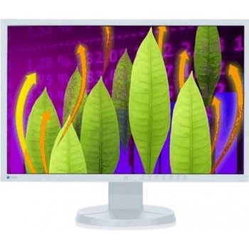 Eizo EV2216WFS