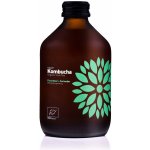 Natu Kombucha bio probiotický nápoj Cucumber & Coriander 315 ml – Zboží Dáma Natu Kombucha bio probiotický nápoj Cucumber & Coriander 315 ml – Zboží Dáma