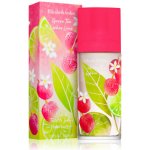 Elizabeth Arden Green Tea Lychee Lime toaletní voda dámská 100 ml tester – Hledejceny.cz