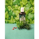 Naděje třezalkový olej 115 ml – Hledejceny.cz