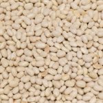 Život bez lepku Fazole malá bílá 0,5 kg – Zboží Dáma