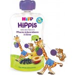 HiPP Bio iS Hruška černý rybíz švestka 100 g – Hledejceny.cz
