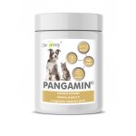 Dromy Pangamin pro psy a kočky 800 tbl – Zboží Mobilmania