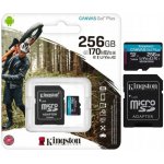 Kingston microSDXC 256GB Canvas Go Plus SDCG4/256GB – Zboží Živě