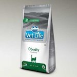 Vet Life Cat OBESITY 10 kg – Zbozi.Blesk.cz