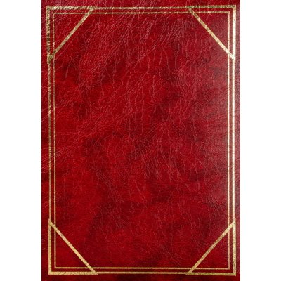 Fotoalbum 10x15 pro 300 fotek Vinyl vínový 2UP – Zboží Živě