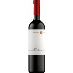 Chateau Rúbaň Frankovka modrá 2022 13,5% 0,75 l (holá láhev) – Hledejceny.cz