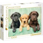 Clementoni Tři labradoři HQC 1000 dílků – Zboží Dáma