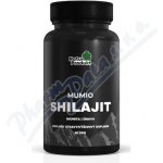 Mumio Shilajit imunita & únava 90 kapslí – Hledejceny.cz