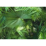 A.S. Création 362001 vliesová tapeta na zeď Neue Bude 2.0 rozměry 0,53 x 10,05 m – Zboží Mobilmania